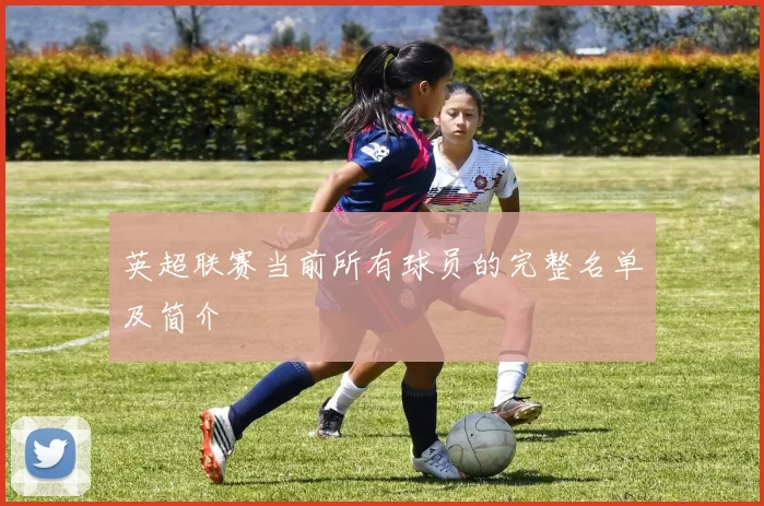 英超联赛当前所有球员的完整名单及简介