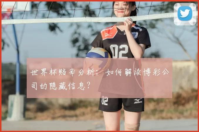 世界杯赔率分析:如何解读博彩公司的隐藏信息?