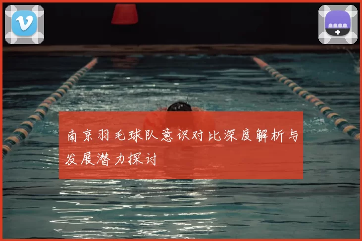 南京羽毛球队意识对比深度解析与发展潜力探讨