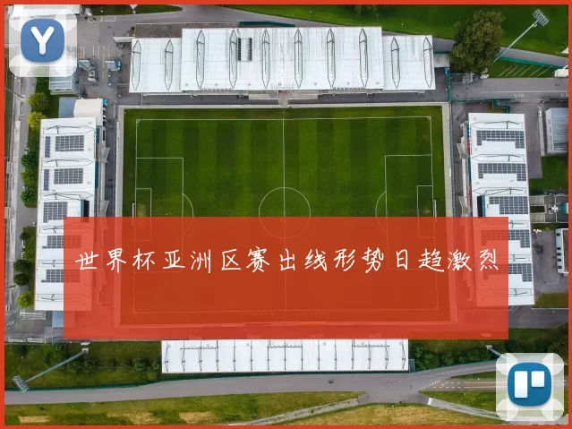 世界杯亚洲区赛出线形势日趋激烈