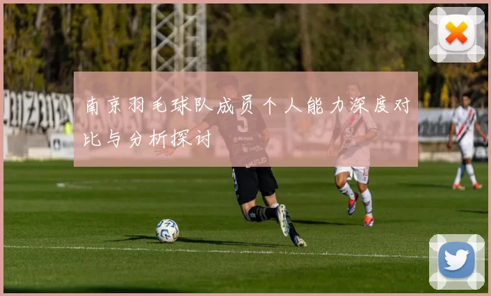 南京羽毛球队成员个人能力深度对比与分析探讨