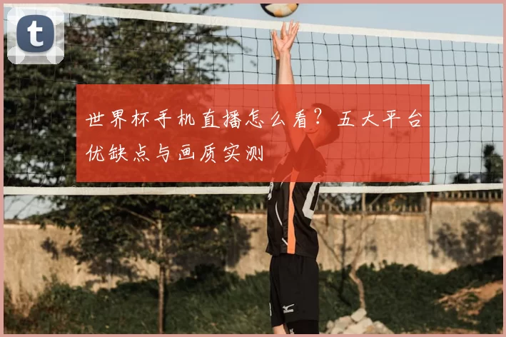 世界杯手机直播怎么看?五大平台优缺点与画质实测