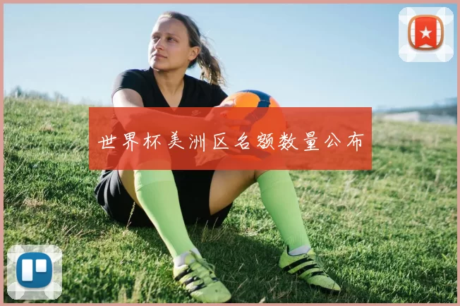 世界杯美洲区名额数量公布