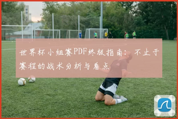 世界杯小组赛PDF终极指南：不止于赛程的战术分析与看点