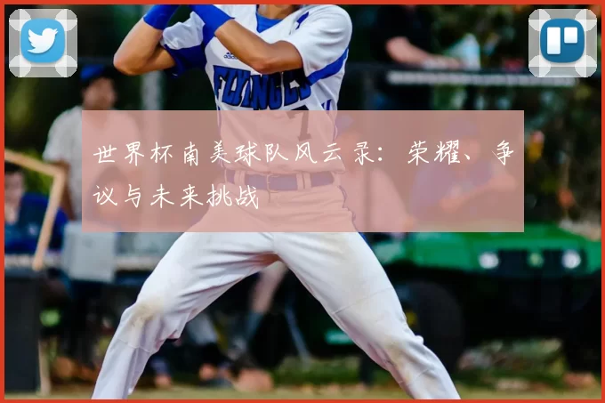 世界杯南美球队风云录：荣耀、争议与未来挑战