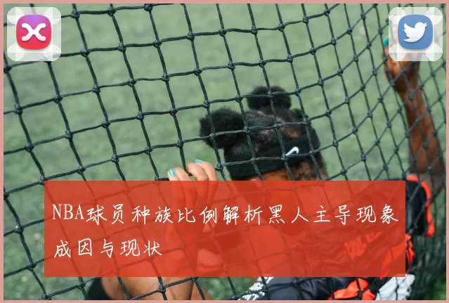 NBA球员种族比例解析黑人主导现象成因与现状