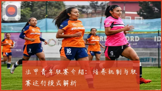 法甲青年联赛介绍：培养机制与联赛运行模式解析
