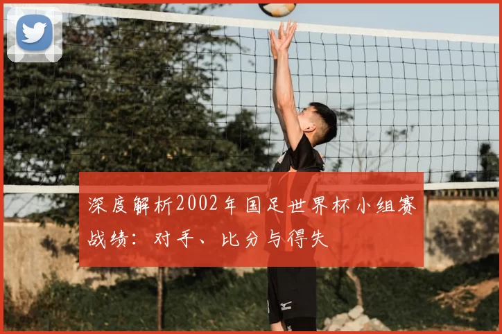 深度解析2002年国足世界杯小组赛战绩:对手、比分与得失