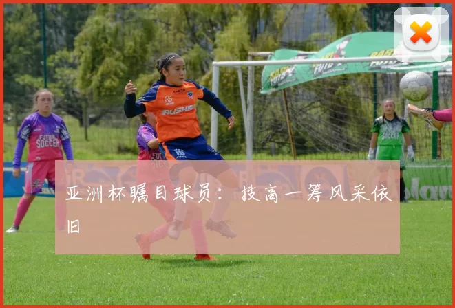 亚洲杯瞩目球员:技高一筹风采依旧