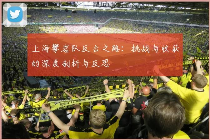 上海攀岩队反击之路：挑战与收获的深度剖析与反思